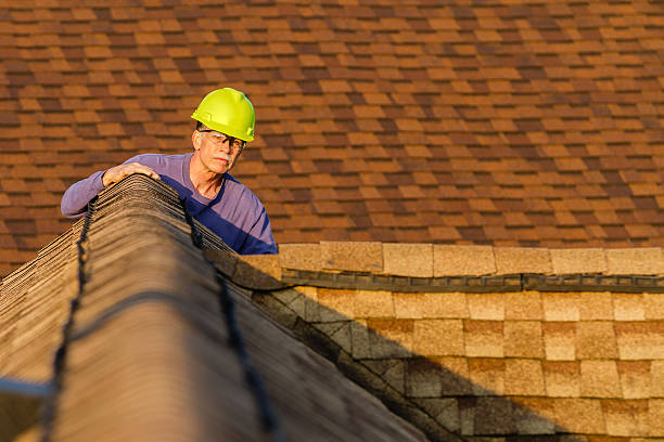 Roof Gutter Cleaning in Bement, IL